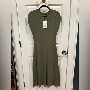 Everlane Olive Midi Dress